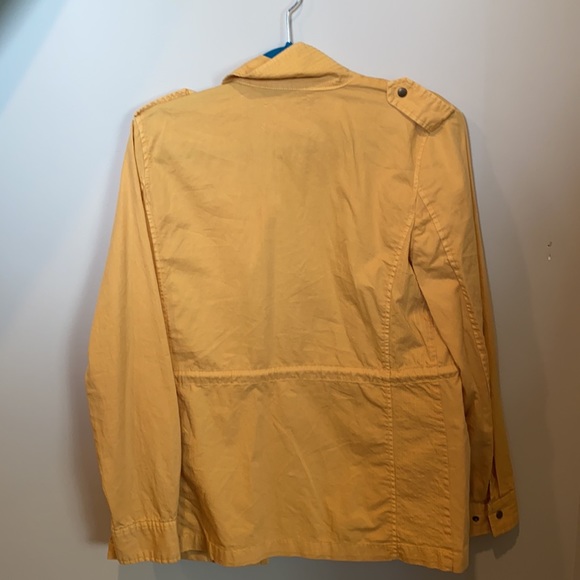 Yellow jacket - Picture 2 of 4